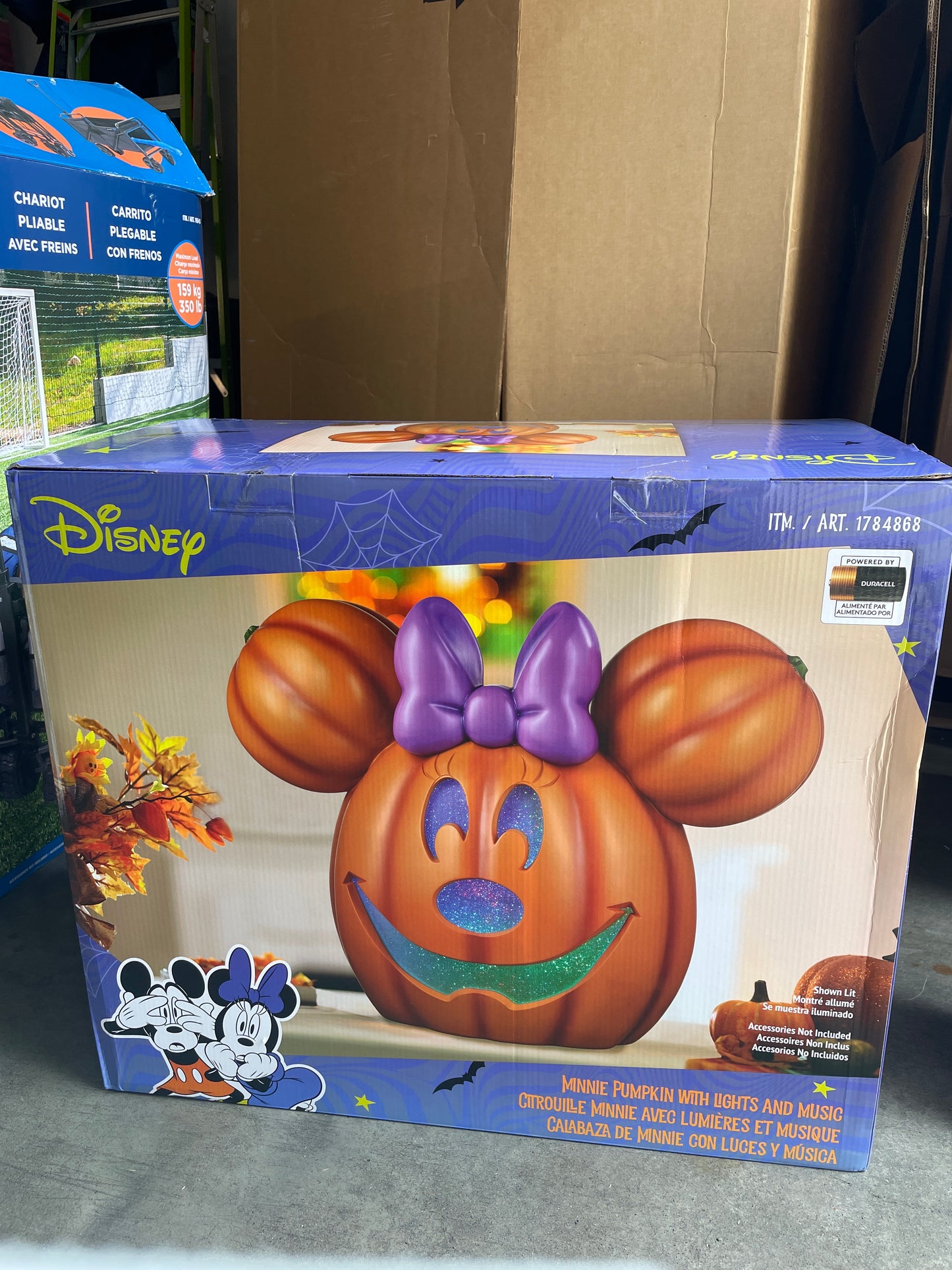 Disney Minnie Jack-O-Lantern Pumpkin