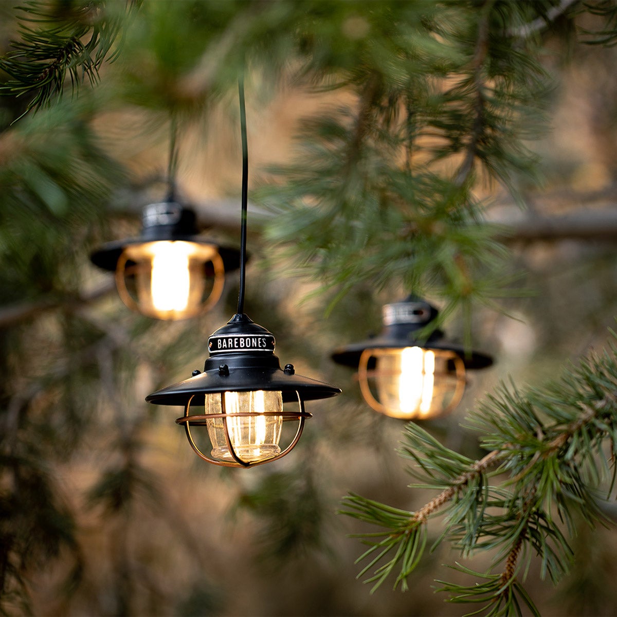 Barebones Edison Pendant String Lights, Bronze