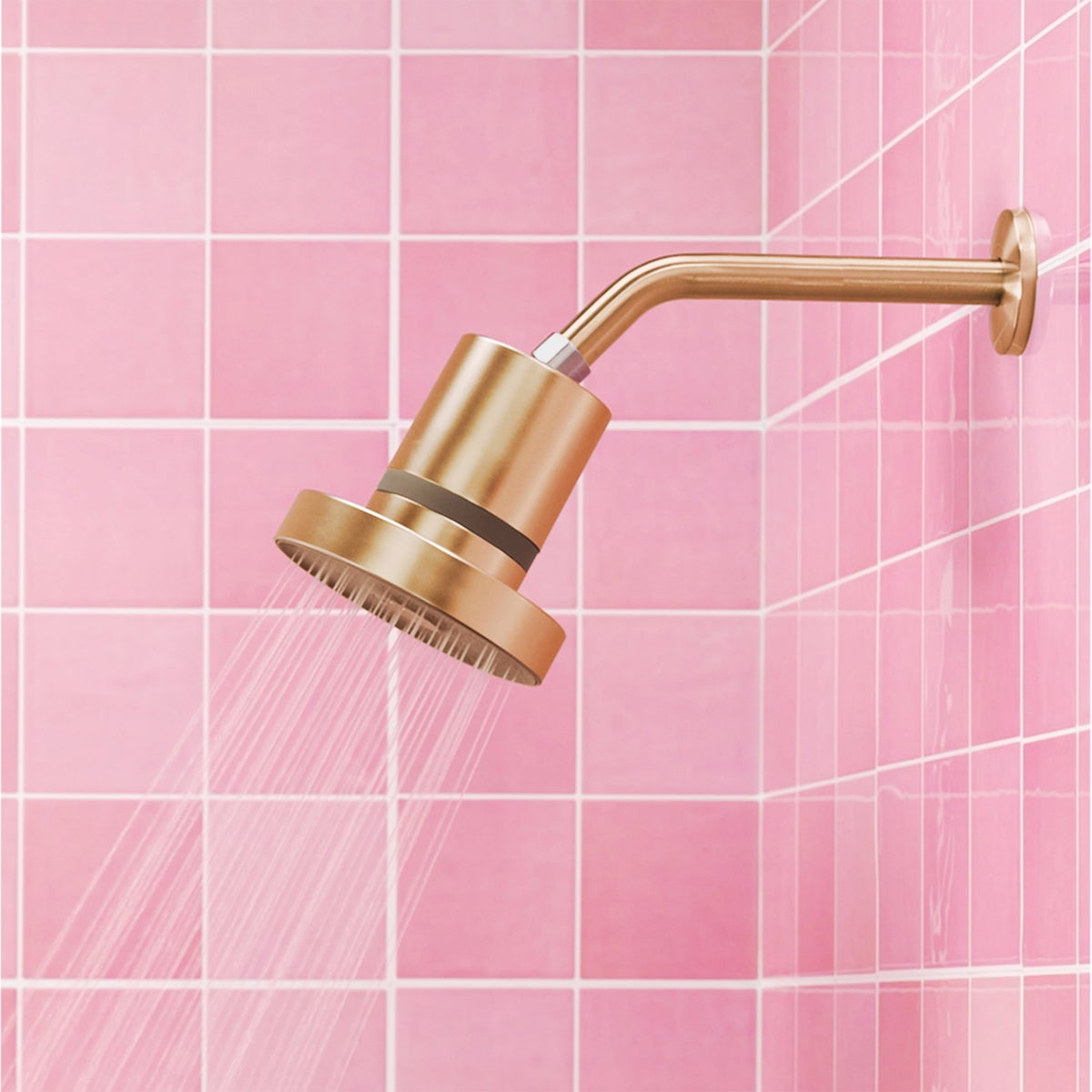 NEW - The Jolie Filtered Shower Head Bundle with Replacement Filters
