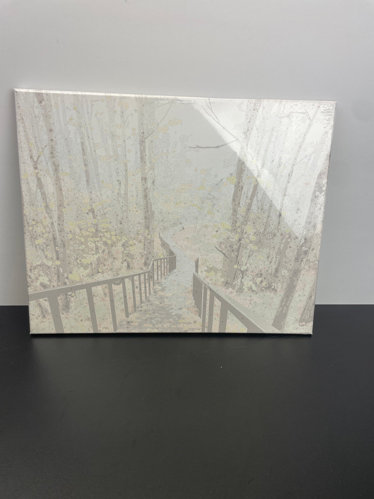 ARTSKILLS PAINT BY NUMBER - Retail $29