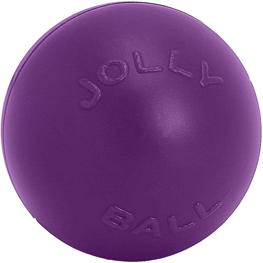 Jolly Pets Push-n-Play Ball Dog Toy, 10 Inches/Large, Purple