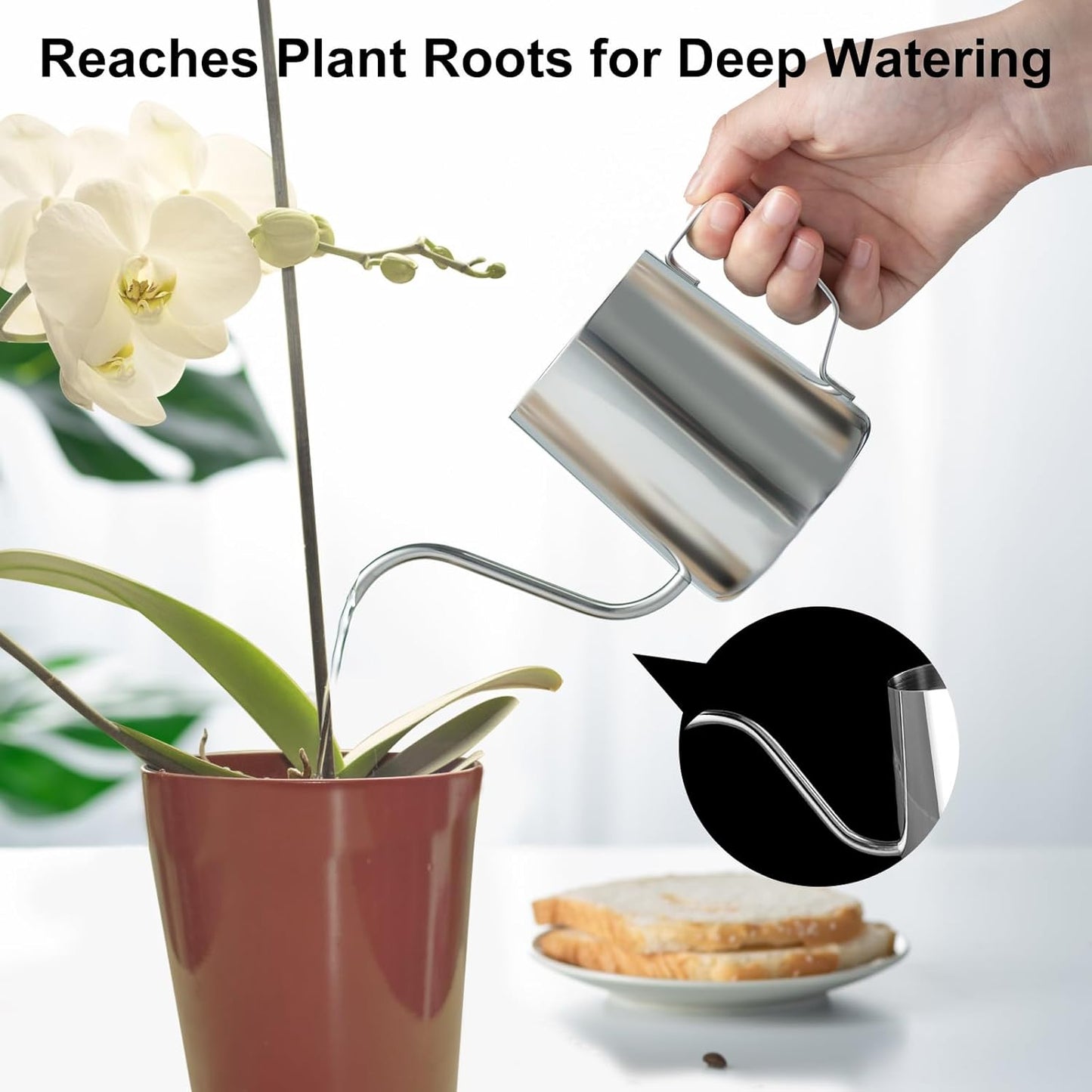 Small Watering Can for Indoor Plants, Mini Indoor Watering Can with Long Spout and Handle 12 Oz