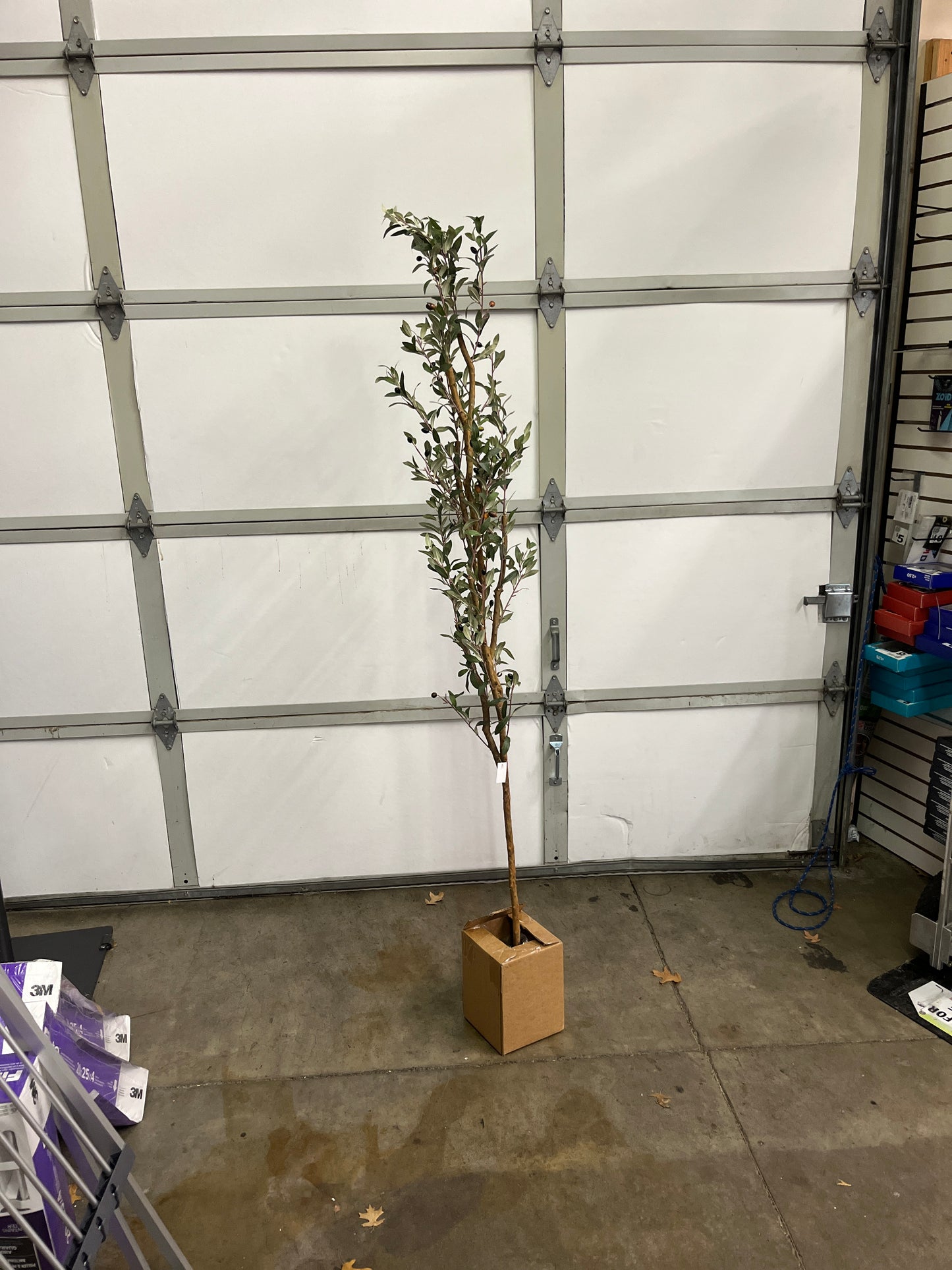 Nearly Natural 82†Olive Artificial Silk Trees Green - Retail $166
