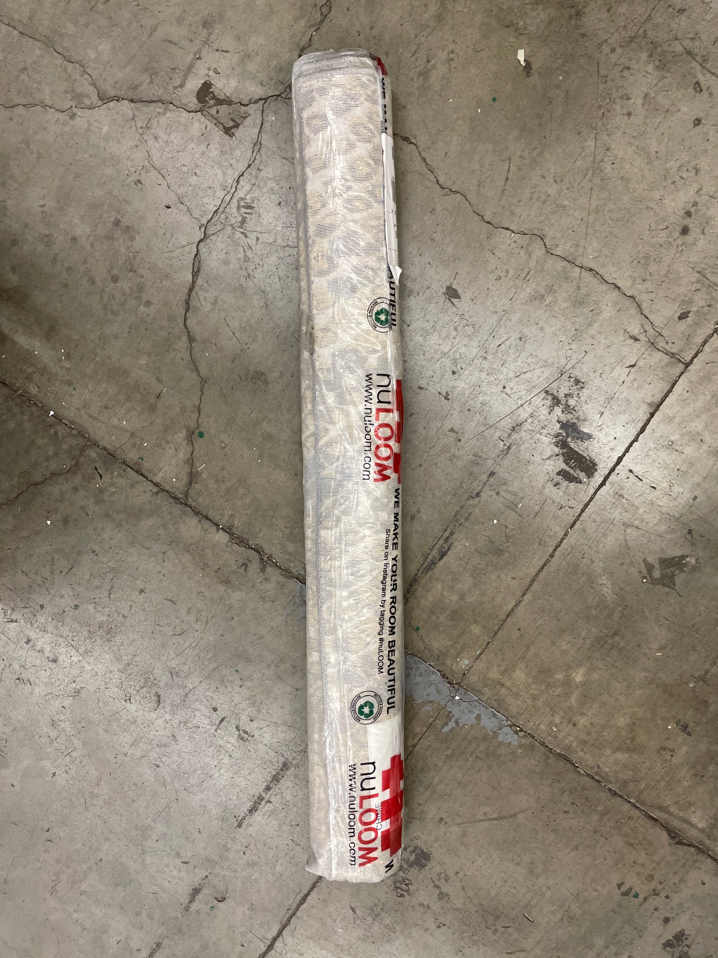 nuLOOM Alexandrine Modern Snake Print Area Rug, 4x6, Beige - Retail $33