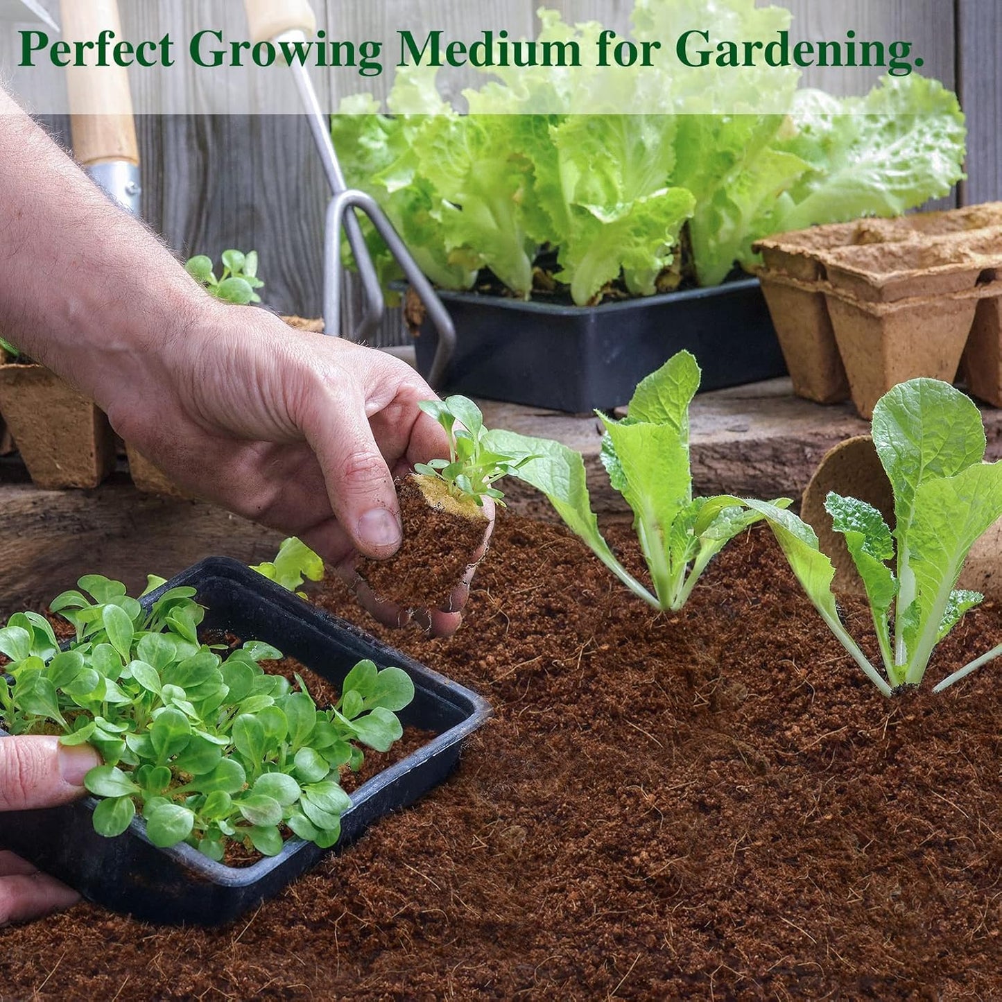 ZeeDix 9 Pack Premium Coco Coir Brick, Organic Compressed Coconut Coir Bricks Seed Starter Potting Soil for Plants, Coconut Fiber Substrate with Low EC & pH Balance for Gardening Flower Herbs