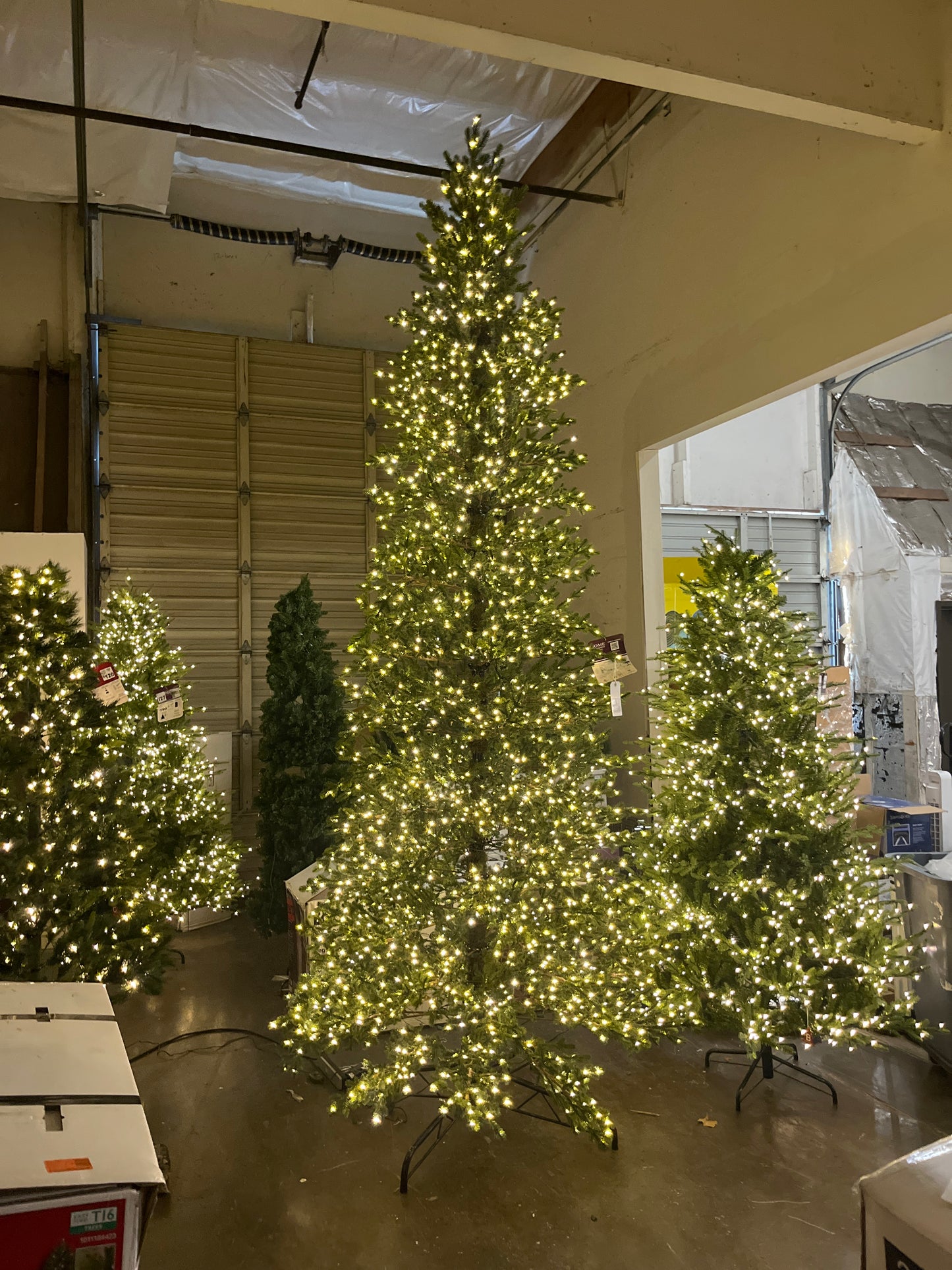 Home Decorators Collection 12 ft. Elegant Twinkling Grand Fir LED Pre-Lit Artificial Christmas Tree with Timer