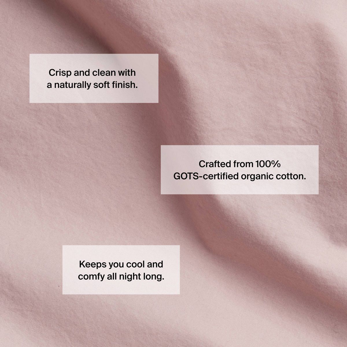 King/California King Casual Organic Cotton Duvet Cover & Sham Set Petal - Parachute for Target