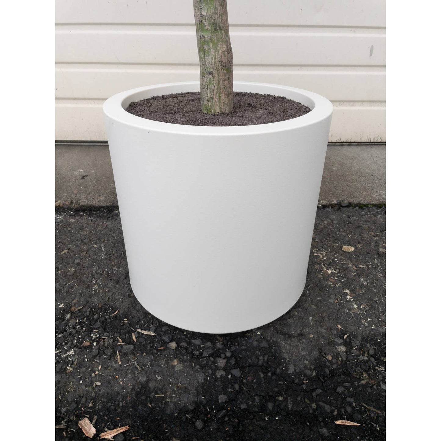 Like NEW - Costco - Faux 6.5' Olive Tree - Retail $179