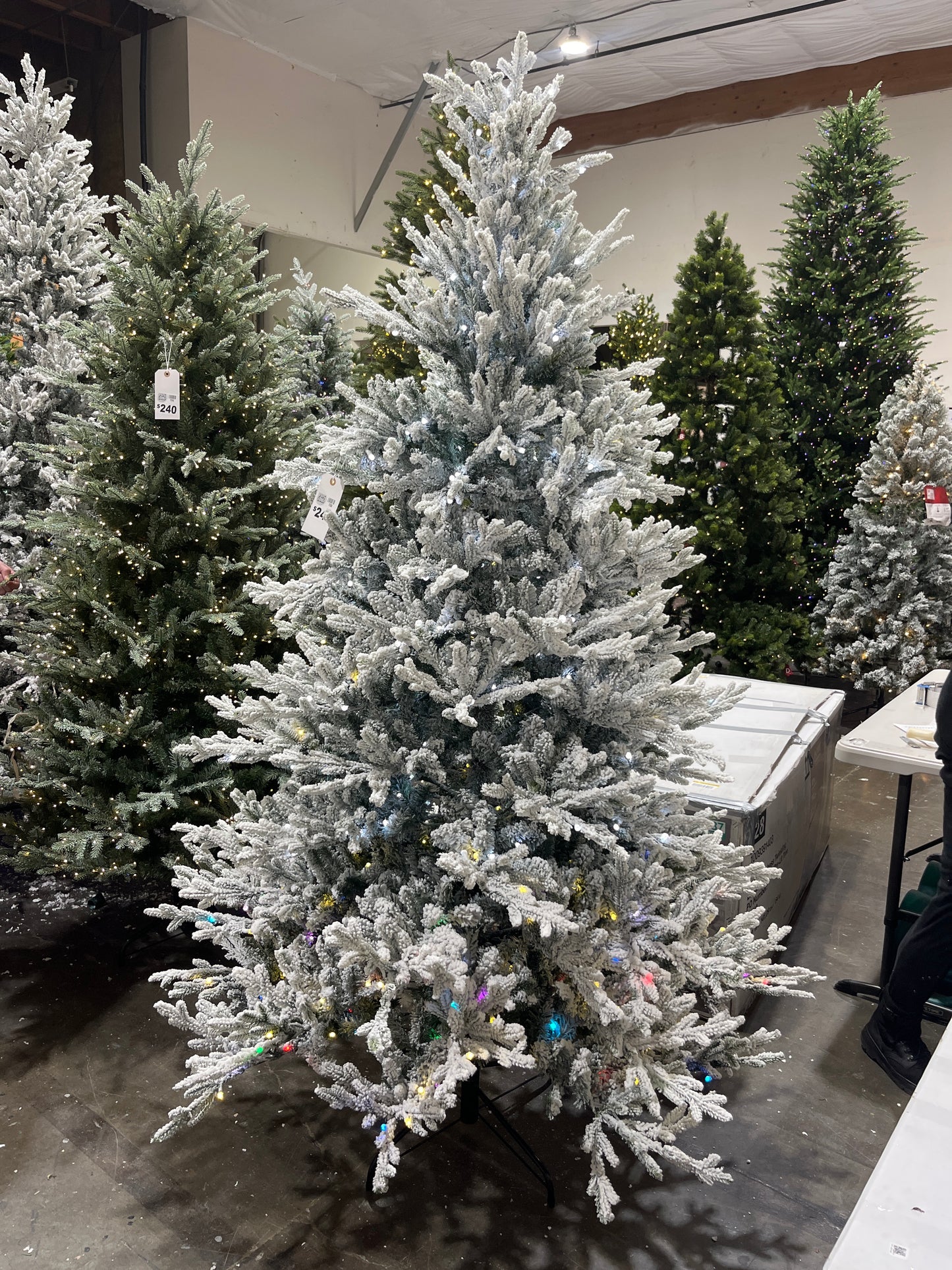 Home Decorators Collection 7.5 ft. Breckenridge Twinkling Adaptive Lighting Downswept Fraser Fir Flocked LED Pre-Lit Christmas Tree T30