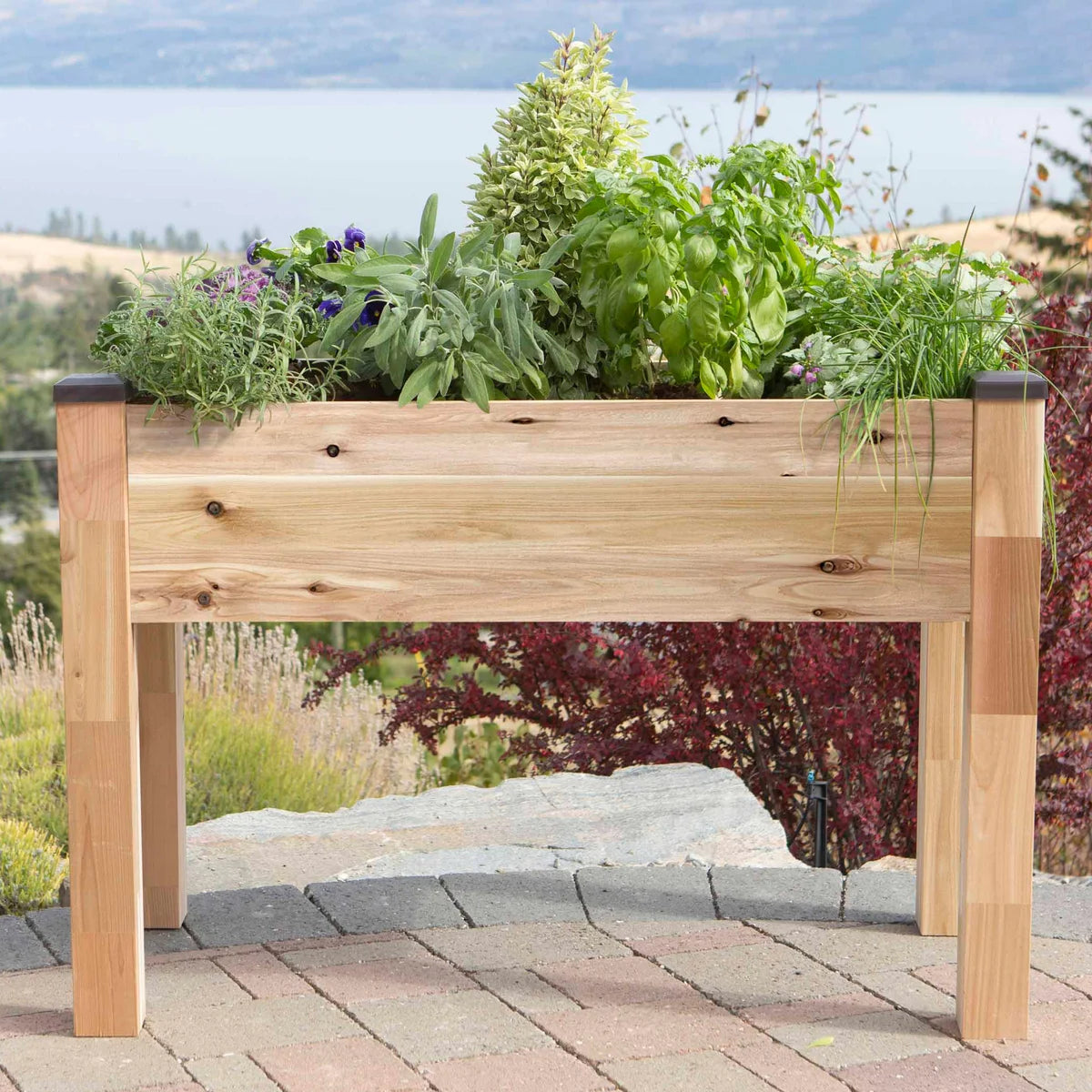 NEW - CedarCraft Self-Watering Elevated Spruce Planter