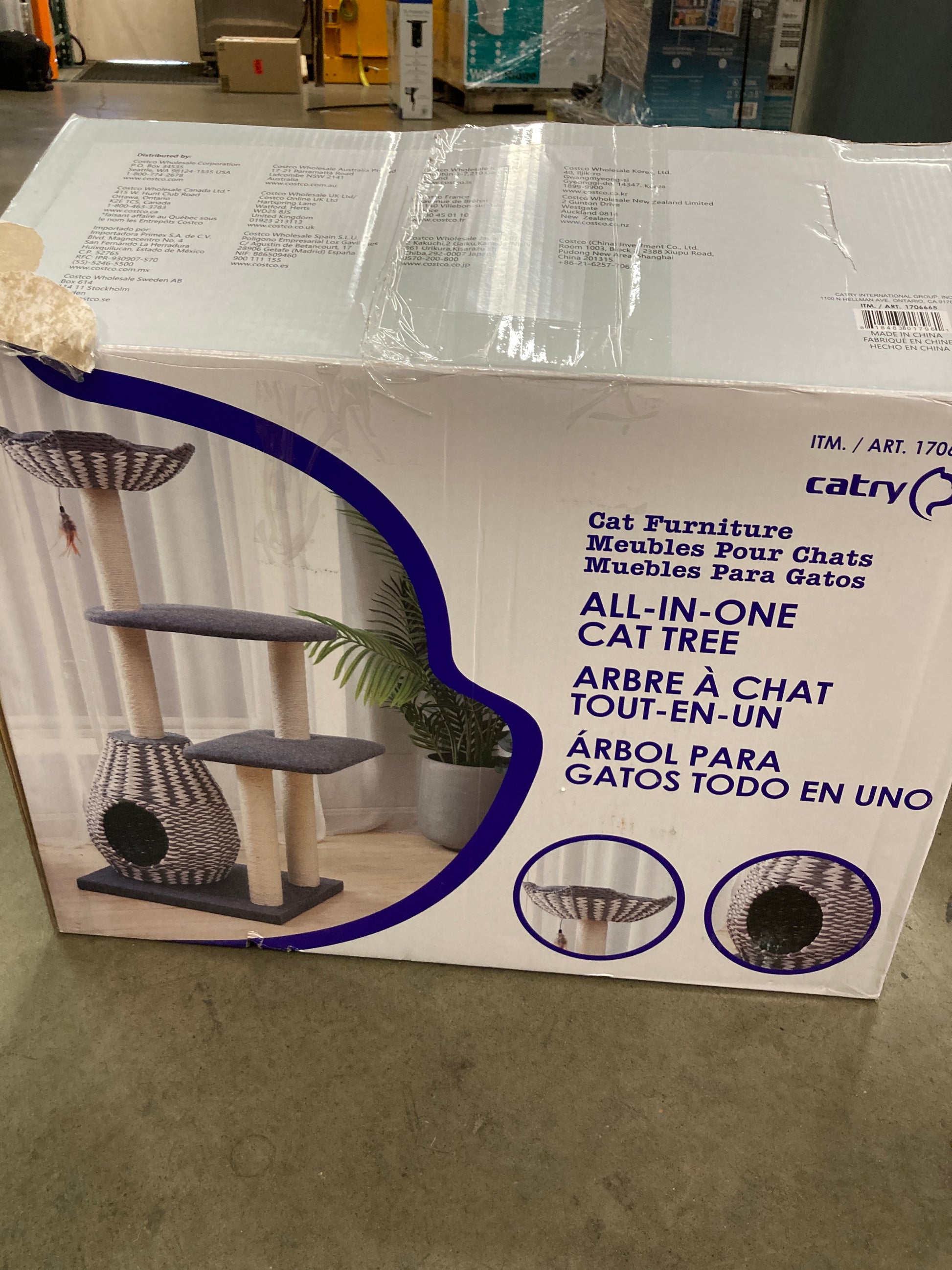 CATRY ACE 49" Default Title