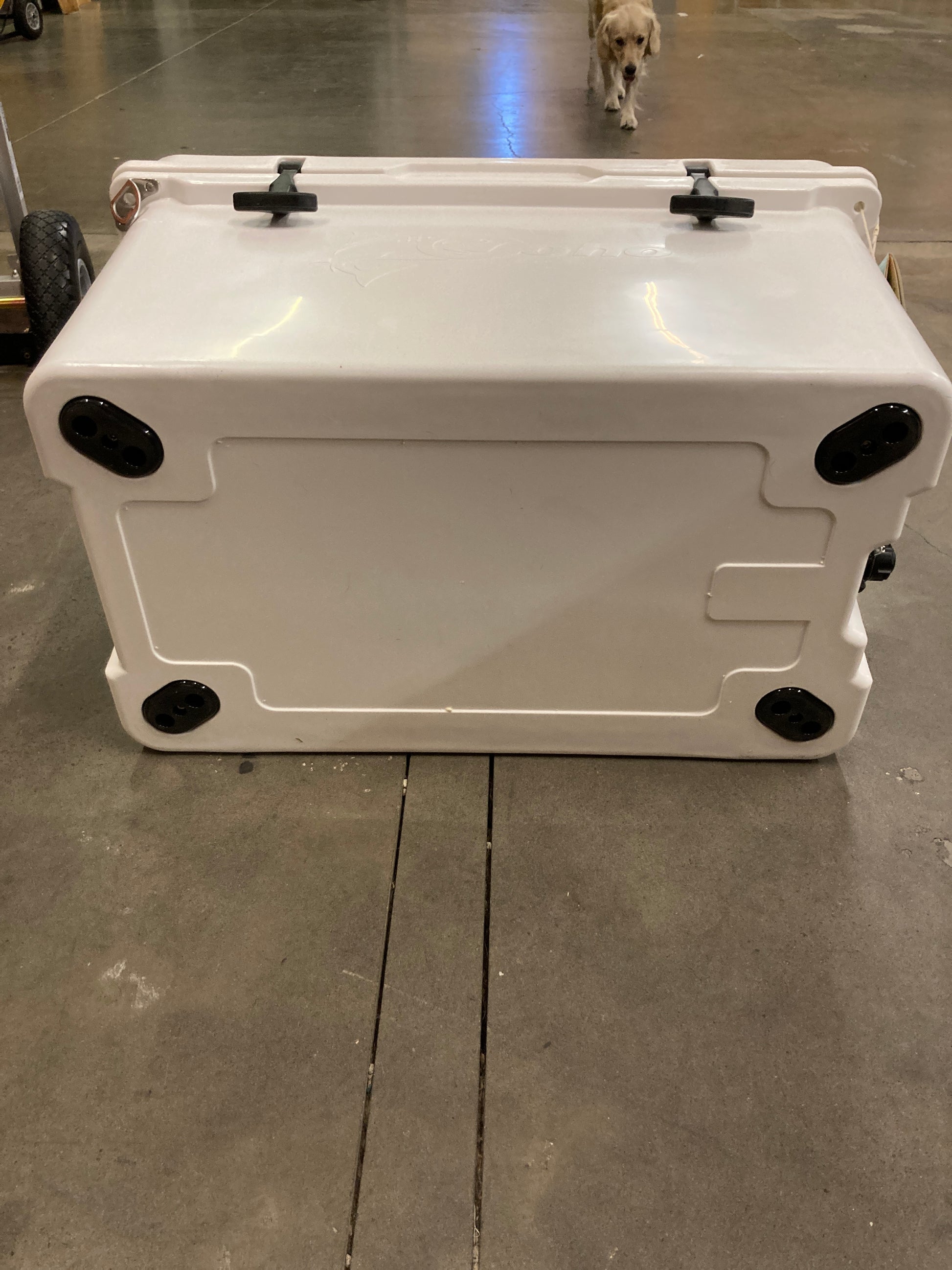 Costco COHO 55 Quart Rotomolded Cooler - Retail $139 Default Title