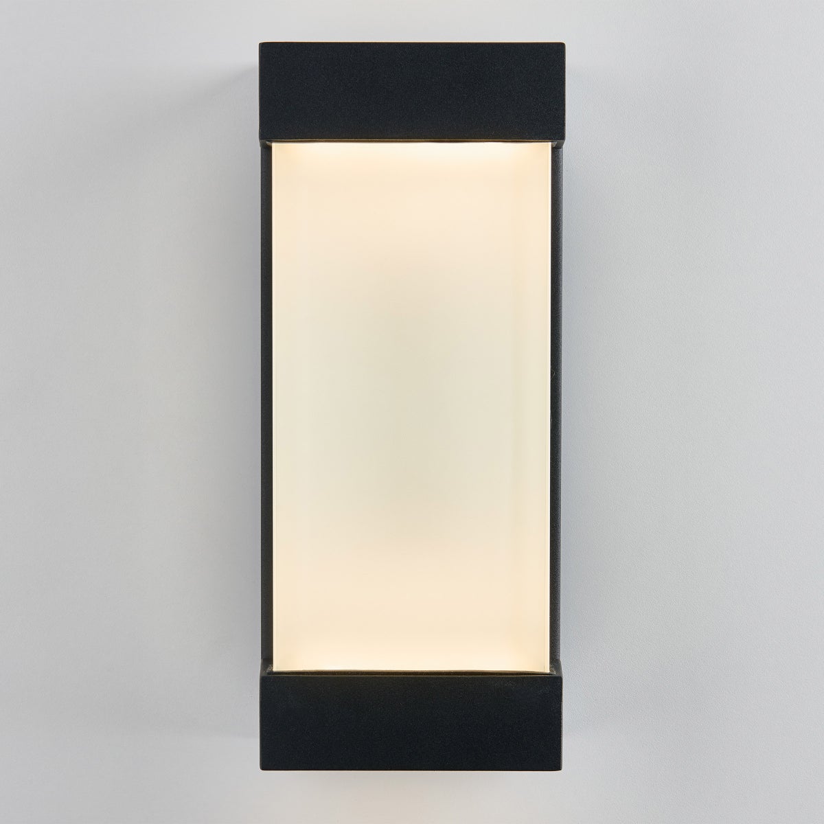 Glacier Indoor/Outdoor Sconce by Artika