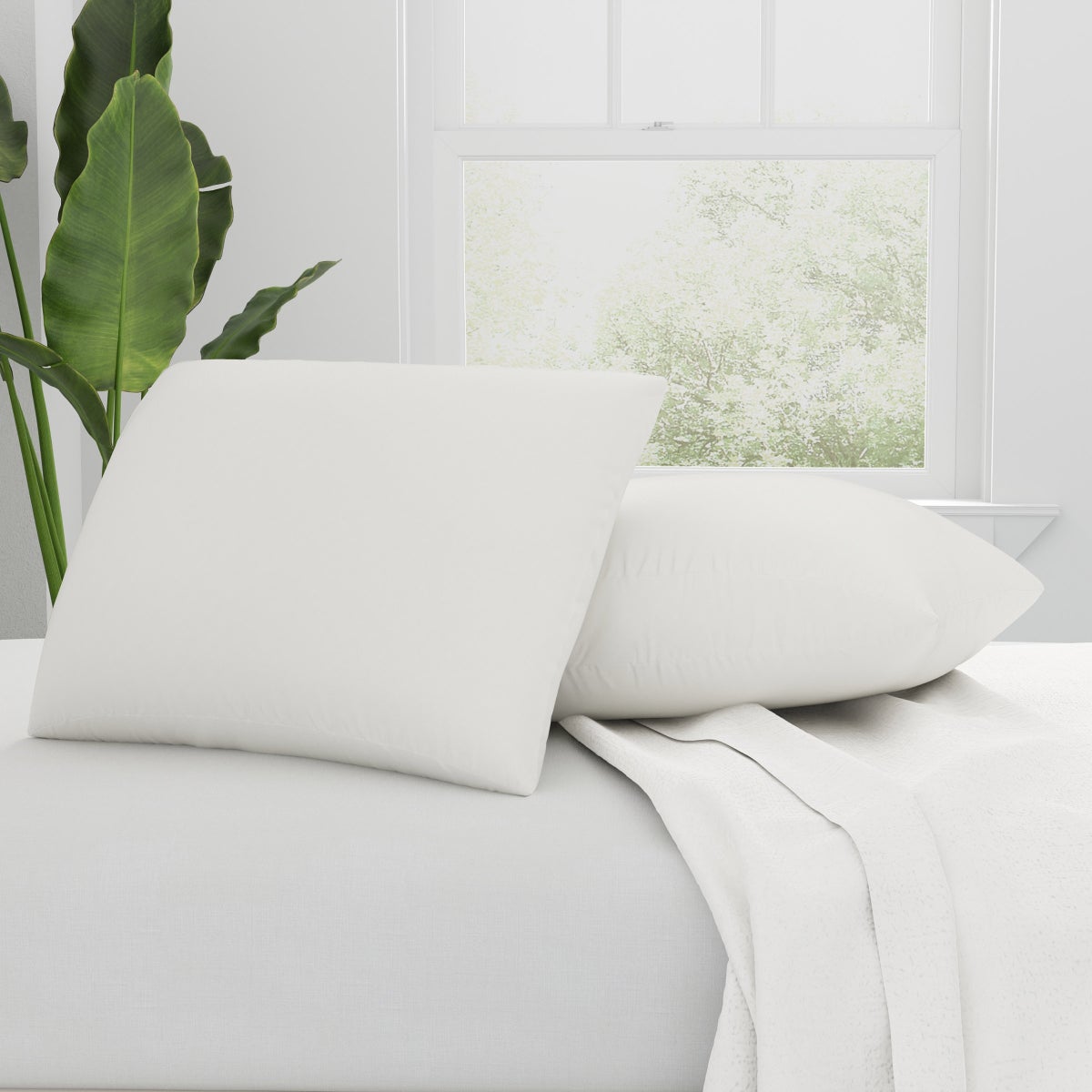 NEW - AllerEase Organic Cotton Top Allergy Protection Pillow, 2-pack