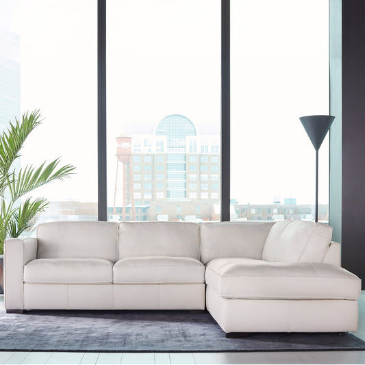 Natuzzigroup Leather Sectional