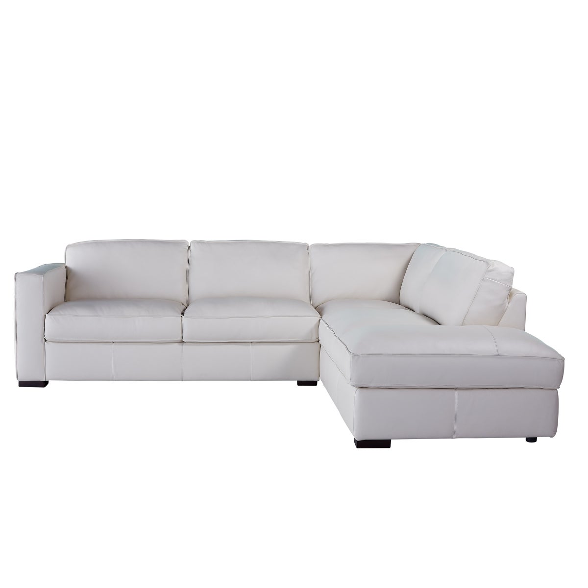 Natuzzigroup Leather Sectional