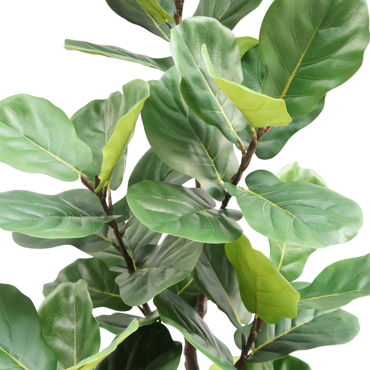 NEW - Faux 6.5' Fig Tree - Retail $179