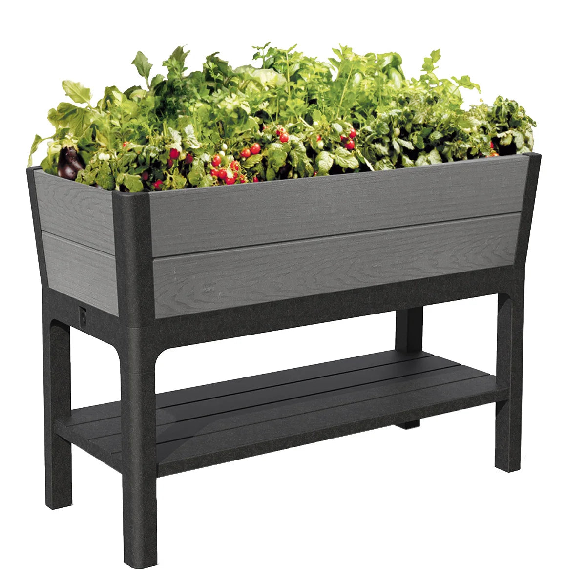 NEW - Keter Darwin 29 Gallon Raised Garden Bed and Self Watering Planter Box - Retail $129