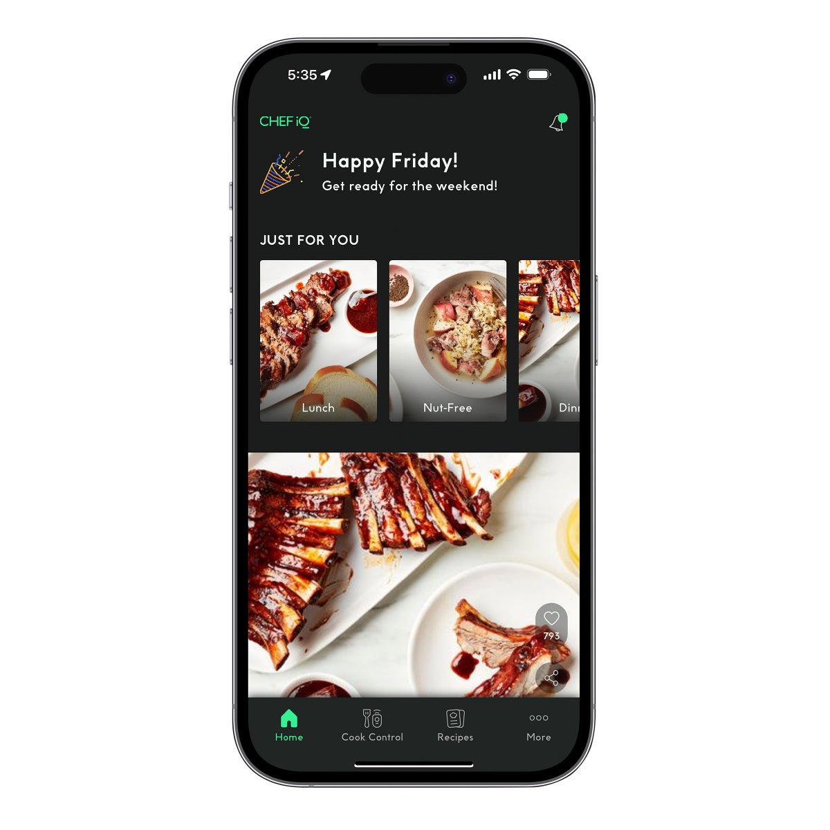 Chef iQ Smart Thermometer and Hub, 2 Probe Set - Retail $100