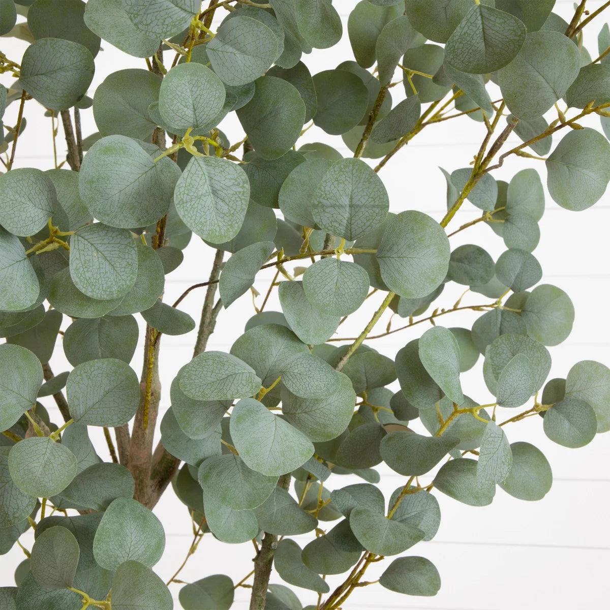 Faux 7.5ft Eucalyptus Tree - Retail $249
