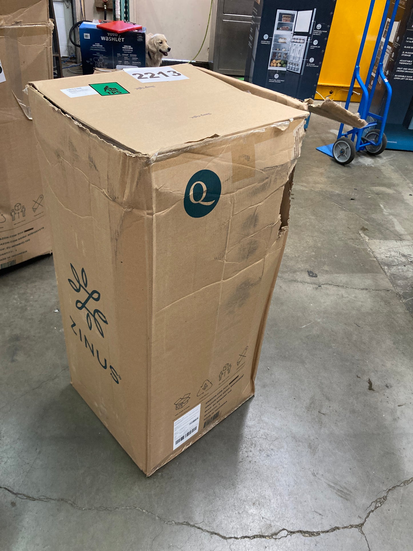 Zinus 10 Inch Green Tea Essential Memory FoamMattress/Bed-in-a-Box/AffordableMattress/CertiPUR-US Certified, Queen, White - Retail $279 Default Title