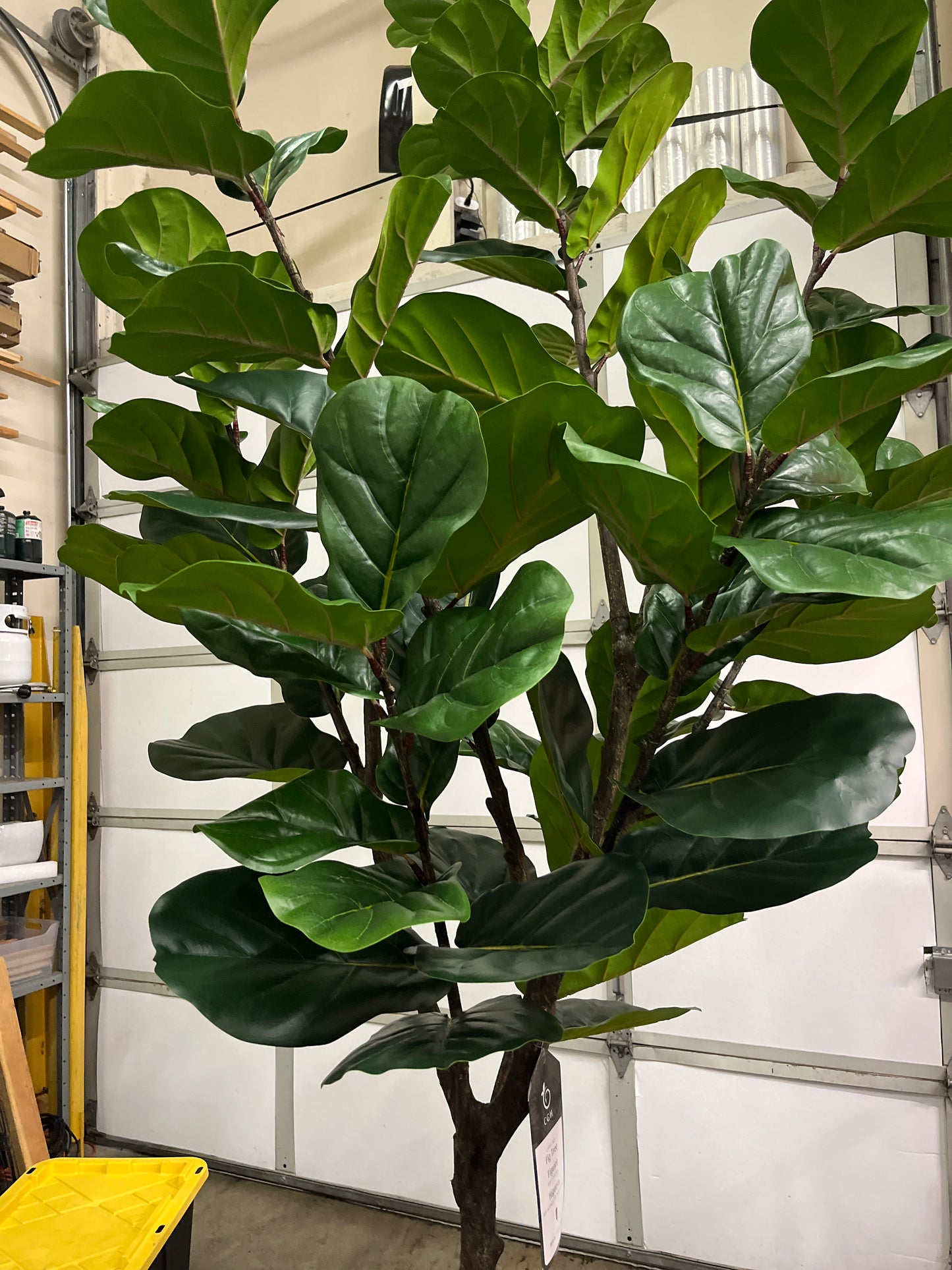 Costco - Artificial 3.05 m (10 ft.) Fiddle Leaf Fig Tree with Planter - Retail $379