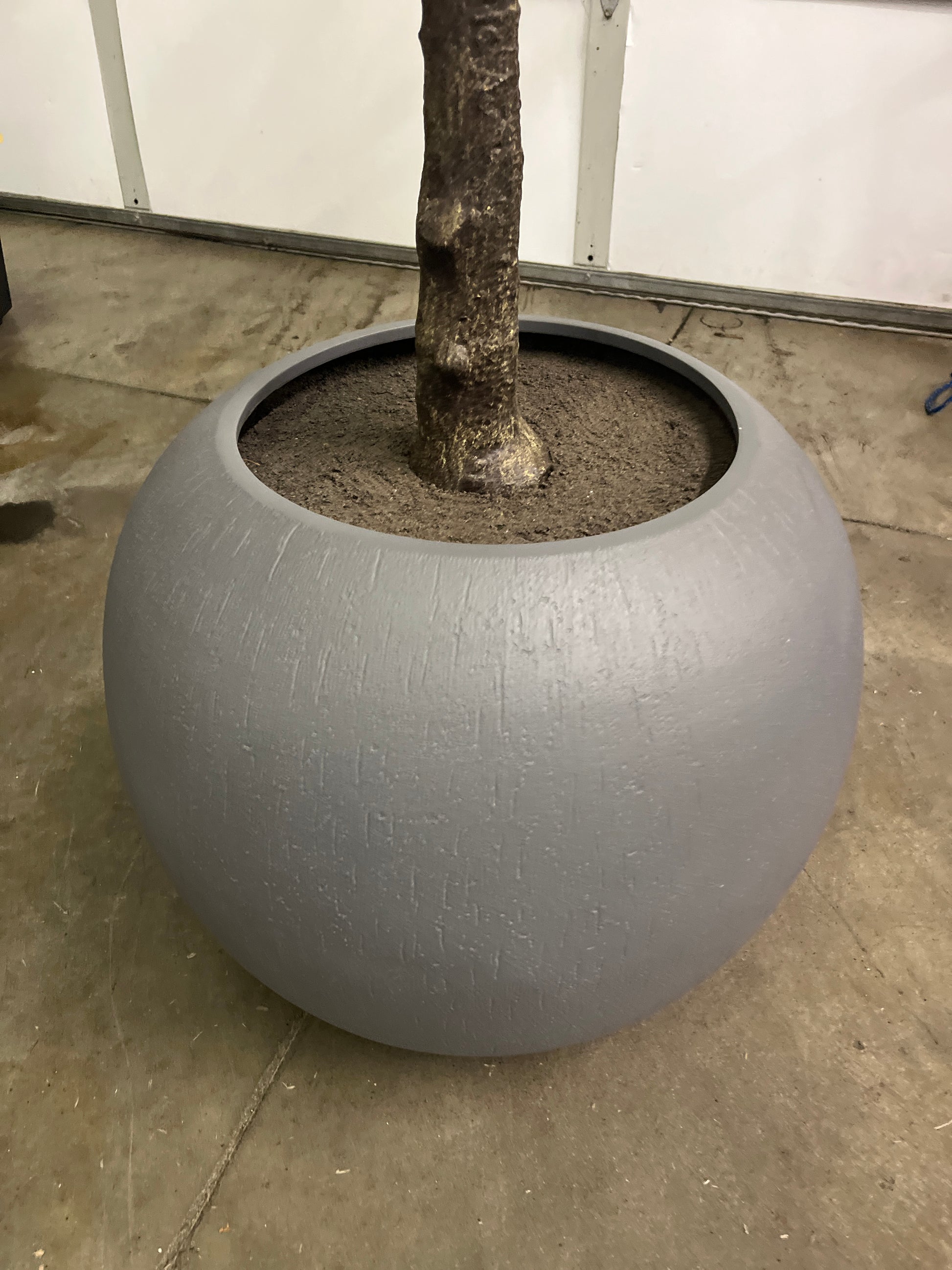 Costco - Artificial 3.05 m (10 ft.) Fiddle Leaf Fig Tree with Planter - Retail $379