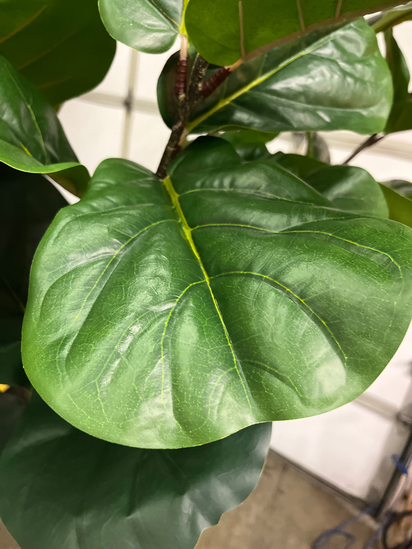 Costco - Artificial 3.05 m (10 ft.) Fiddle Leaf Fig Tree with Planter - Retail $379