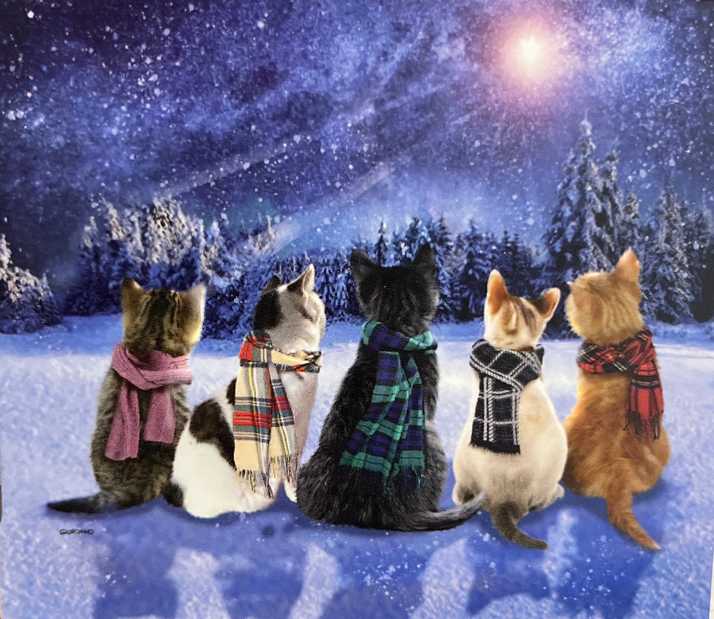 Berkshire Cats Throw Blanket - 60" x 70"