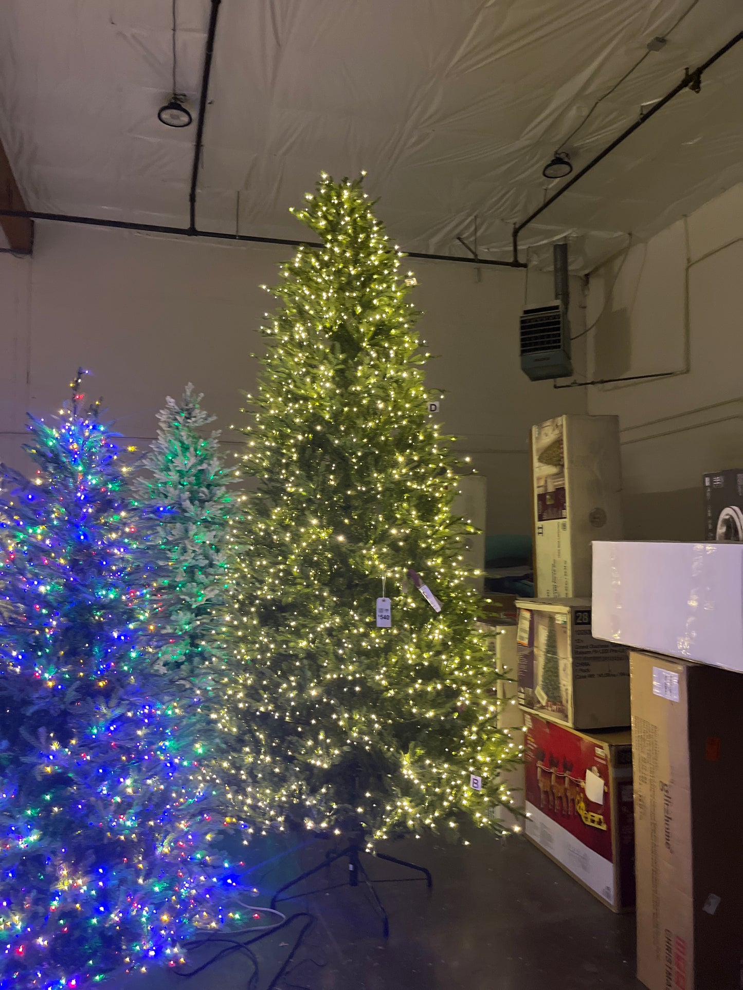 Home Decorators Collection 12 ft. Grand Duchess Twinkling Balsam Fir LED Pre-Lit Artificial Christmas Tree T37