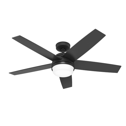 Hunter Asheville 52” Indoor/Outdoor Ceiling Fan