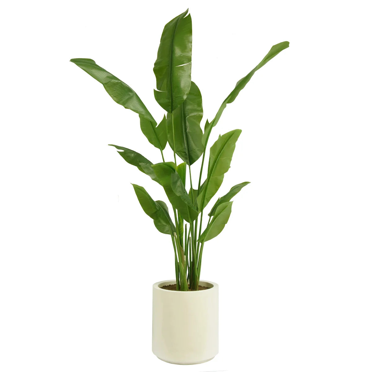 Faux Banana Leaf Tree 2 m (6.5 ft.)