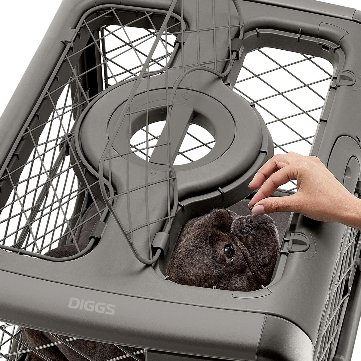 Diggs Revol Collapsible Dog Crate and Pad Set, Small - Retail $250