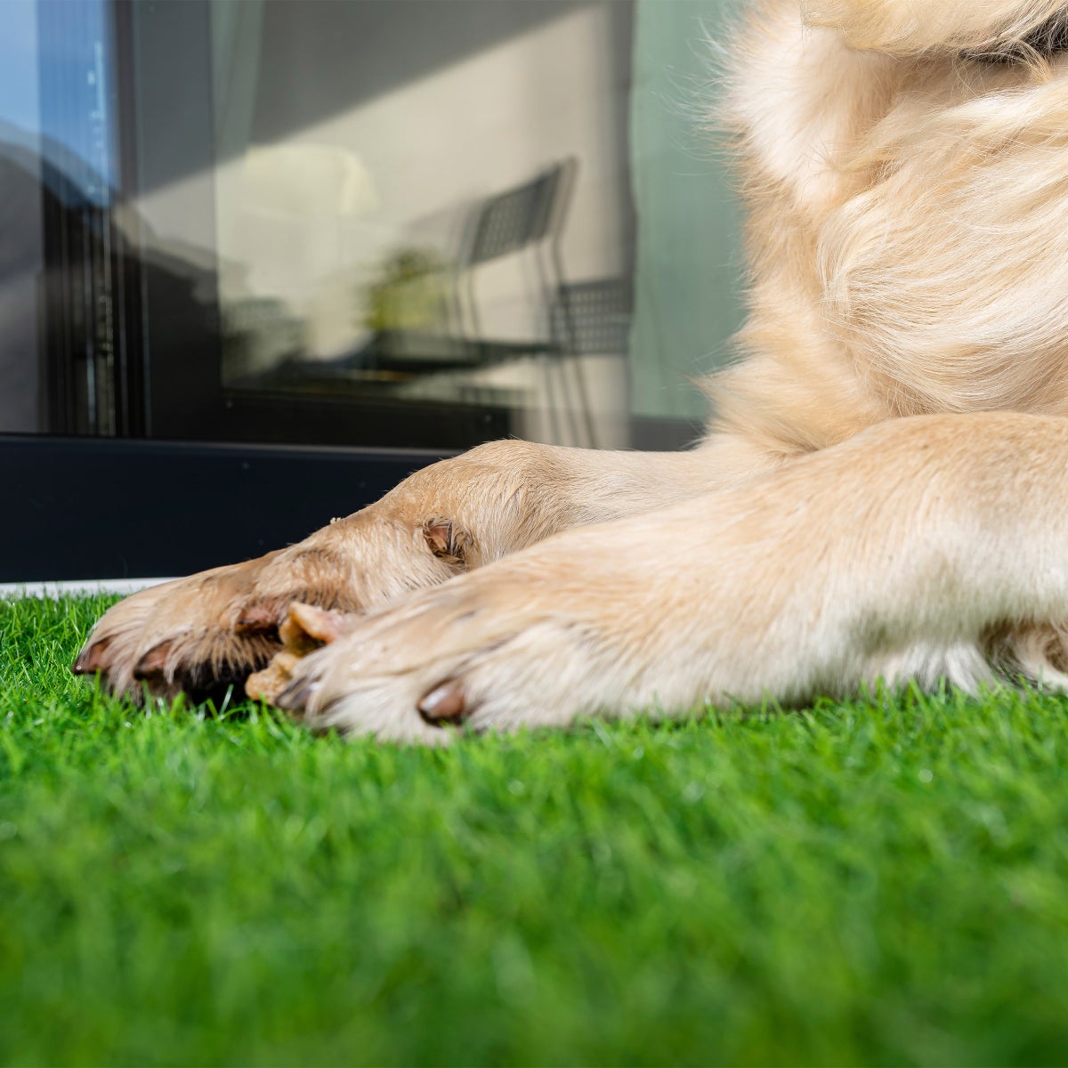 PreGra 50 oz Premium Artificial Turf