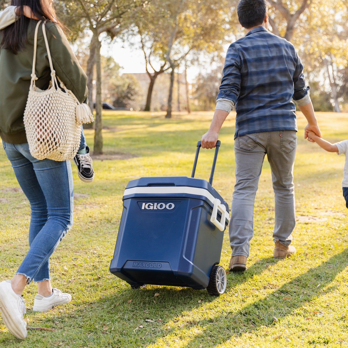 Igloo MaxCold Latitude 62-quart  Roller Cooler