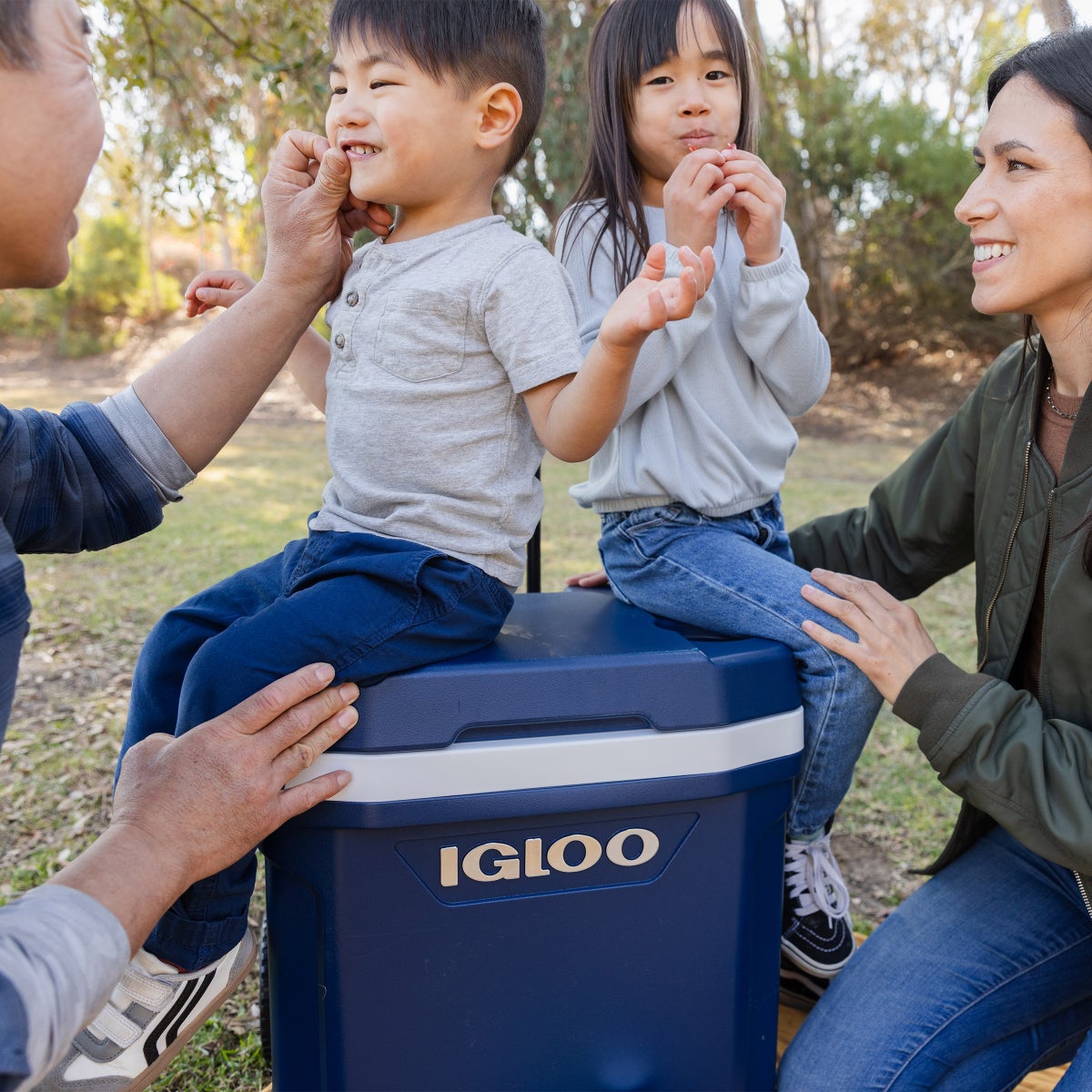 Igloo MaxCold Latitude 62-quart  Roller Cooler