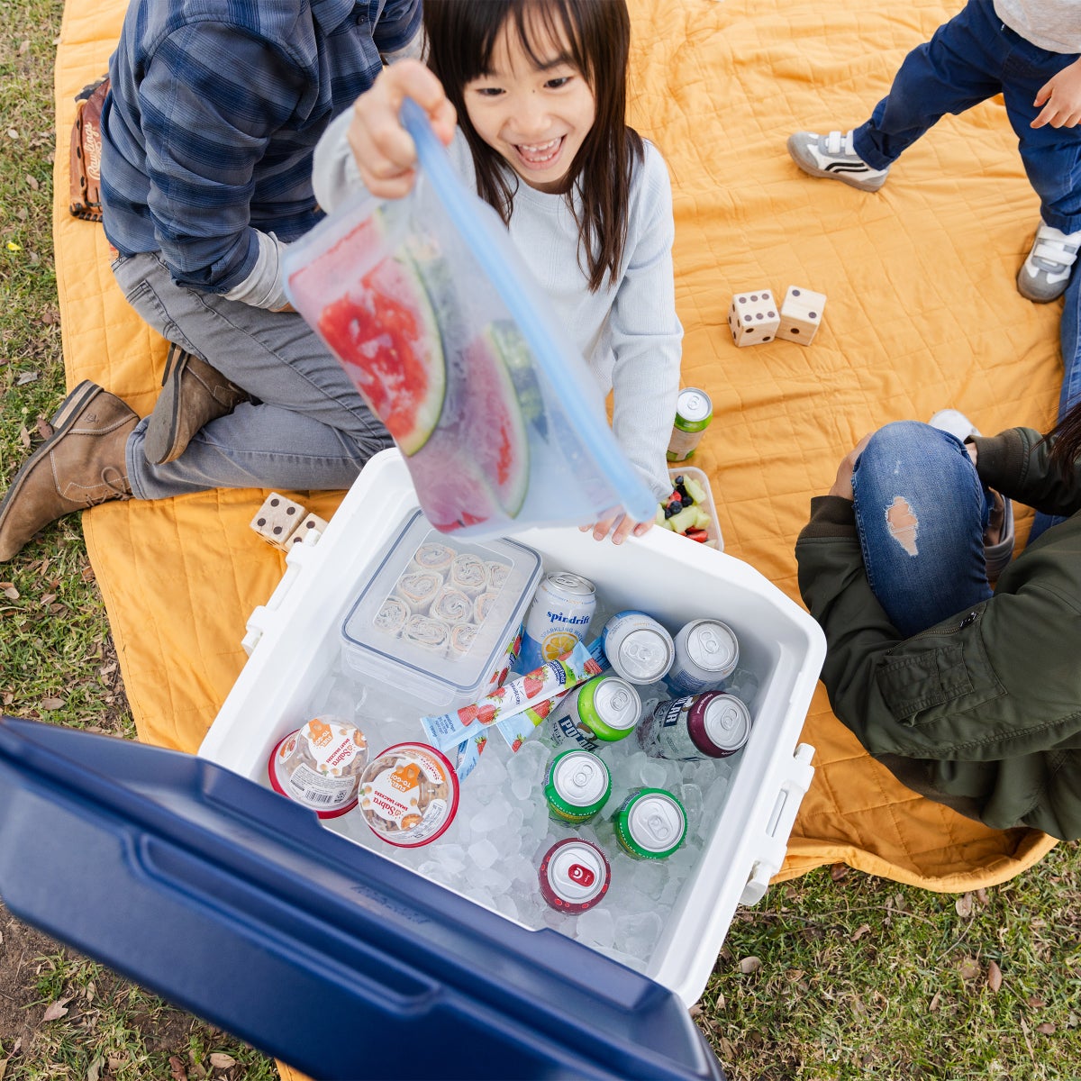 Igloo MaxCold Latitude 62-quart  Roller Cooler