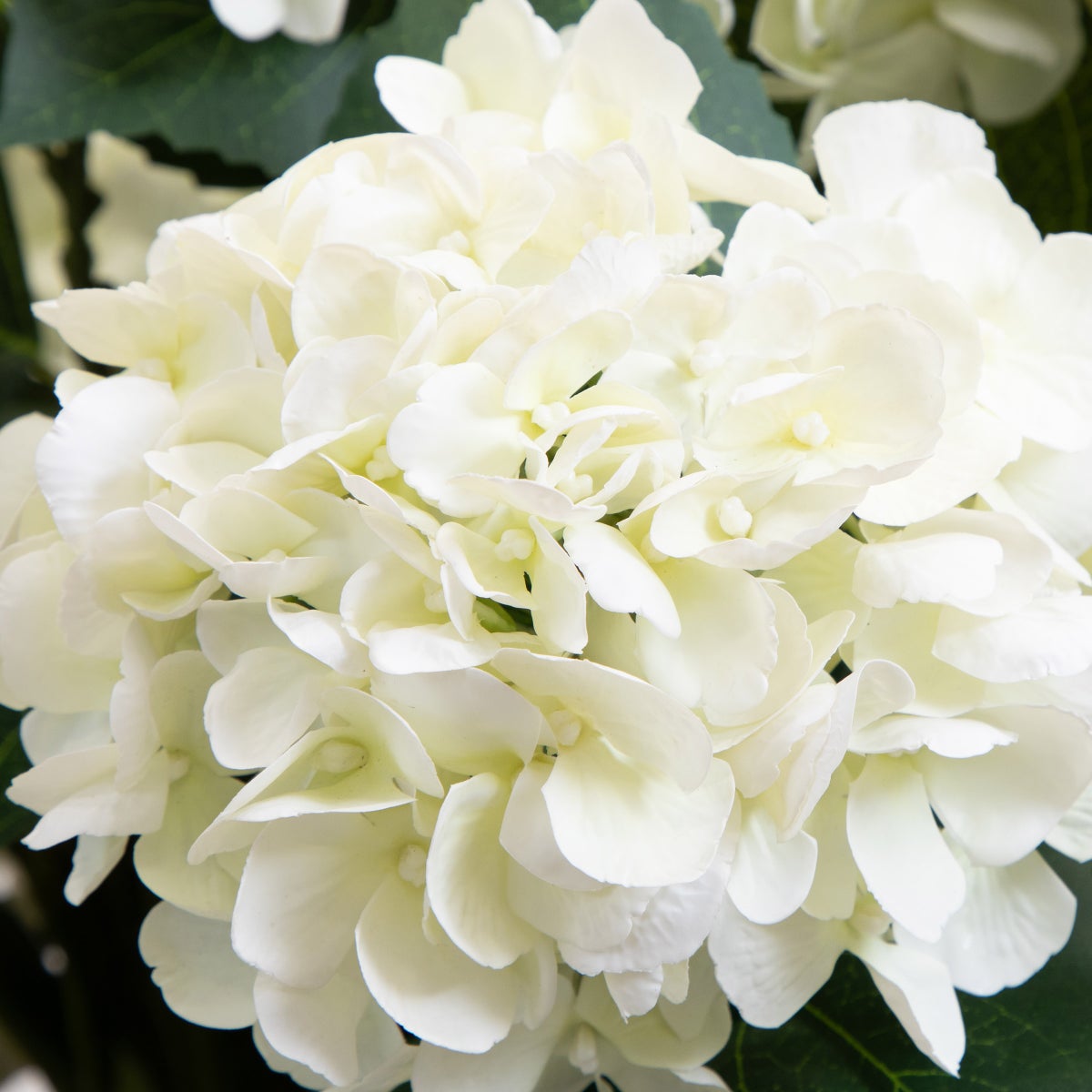 Faux 35” Hydrangea Floor Plant