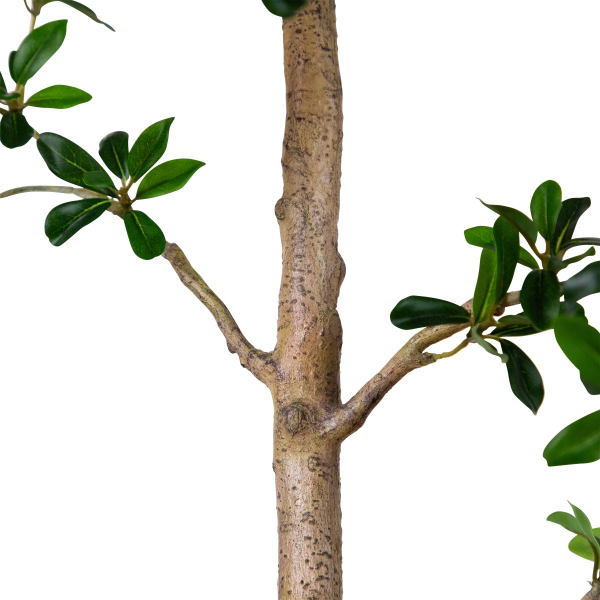 Faux 8' Quince Tree