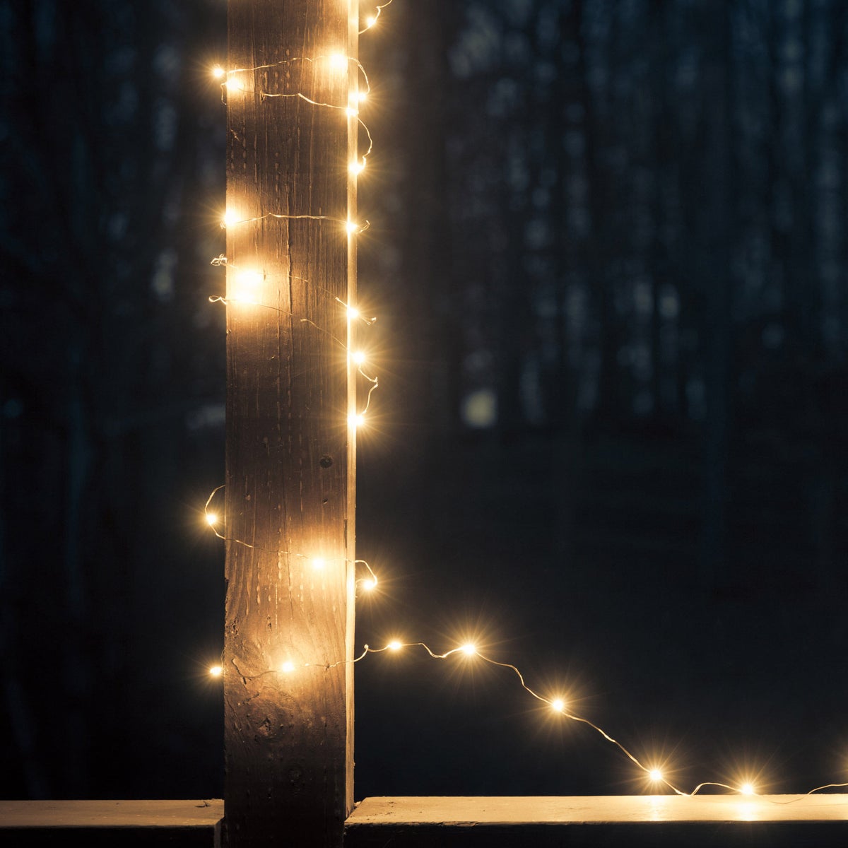 Cascade Mountain Tech Rechargeable Camping String Lights, 2 -Pack