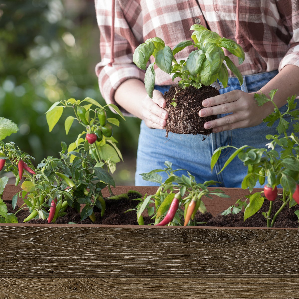 NEW - Walnut Elevated Garden Bed