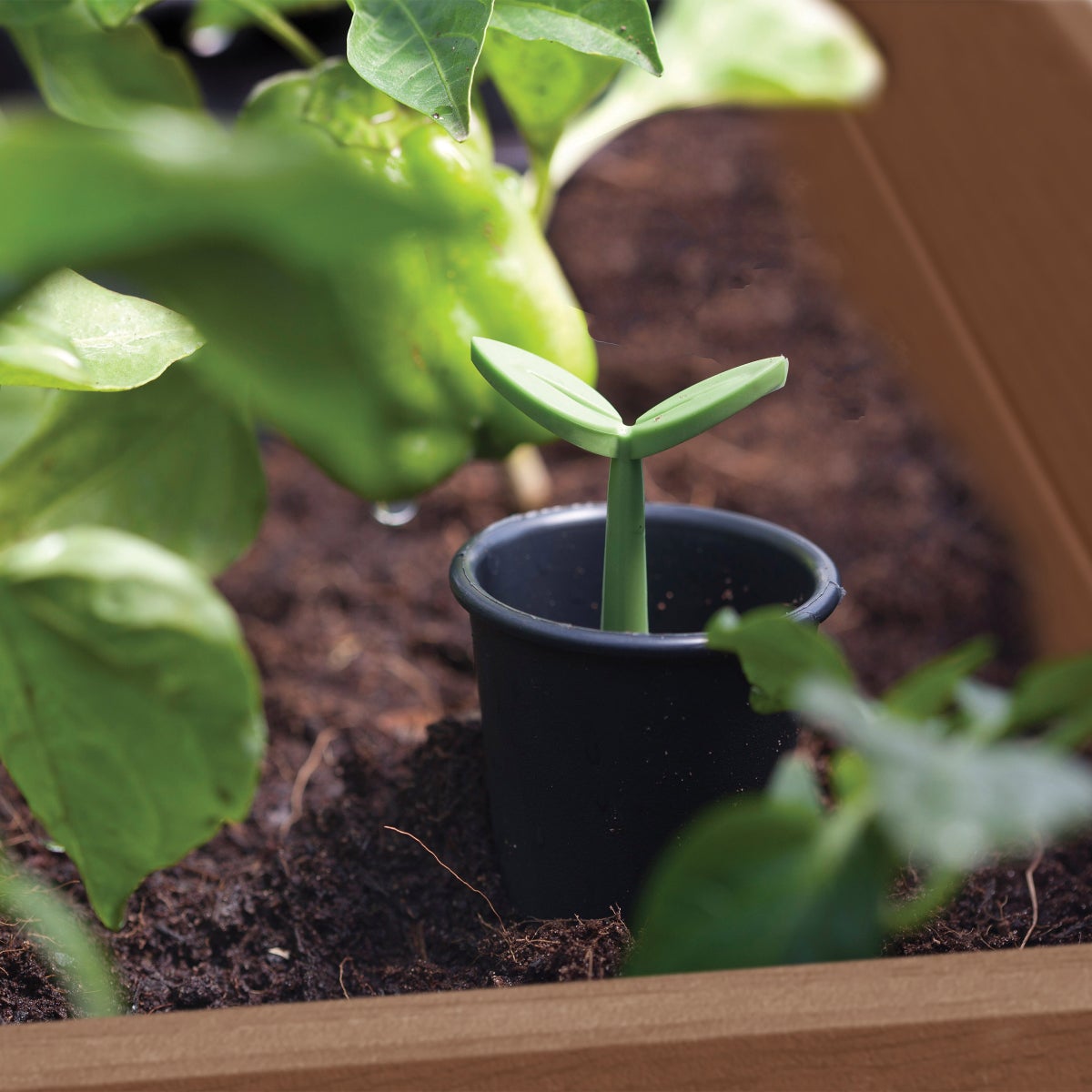 NEW - Walnut Elevated Garden Bed