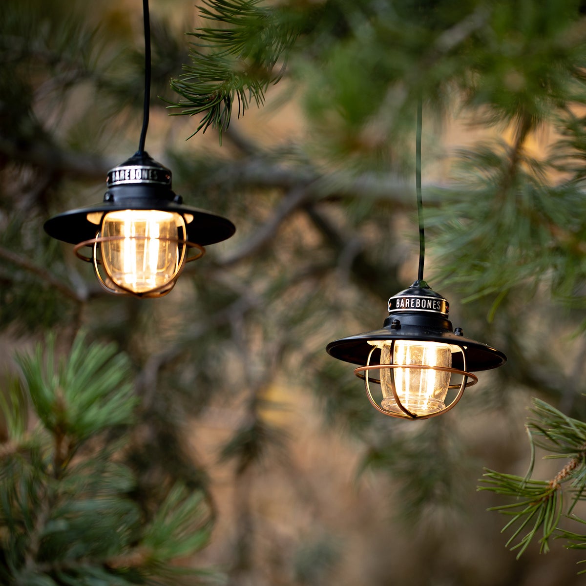 Barebones Edison Pendant String Lights, Bronze