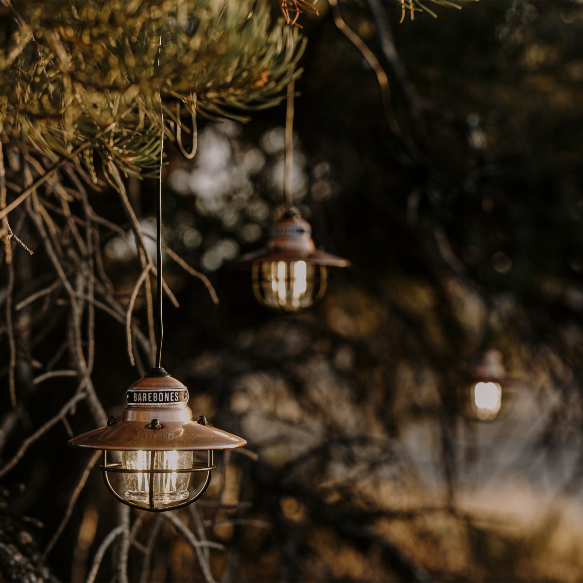 Barebones Edison Pendant String Lights, Copper