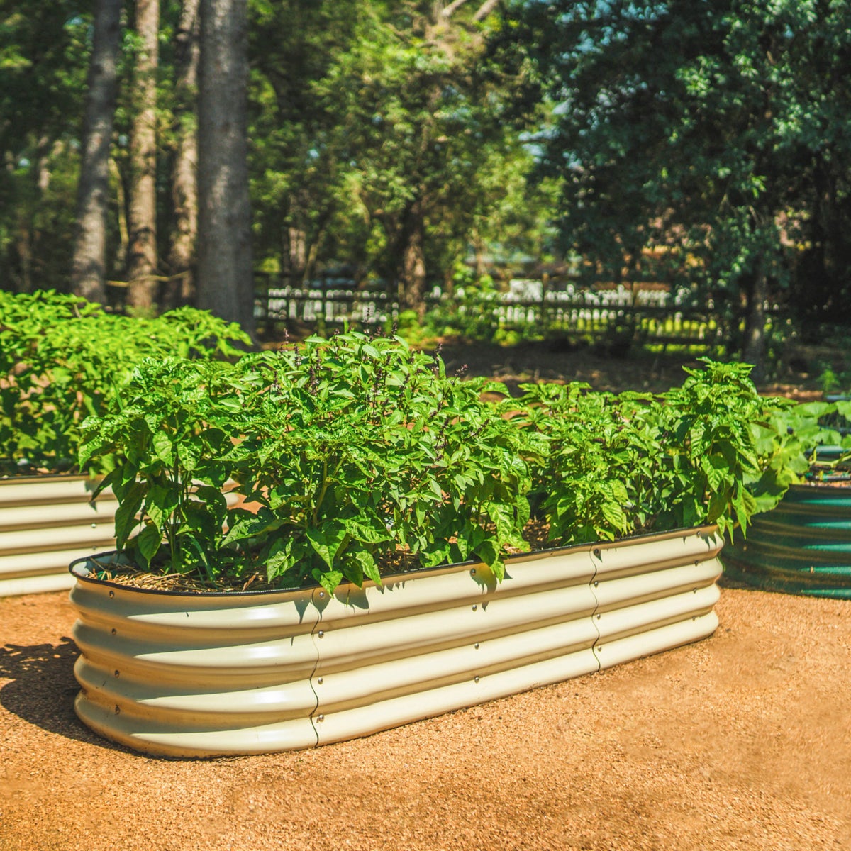 Vego Garden 14” Tall 6 in 1 Modular Metal Raised Garden Bed Kit