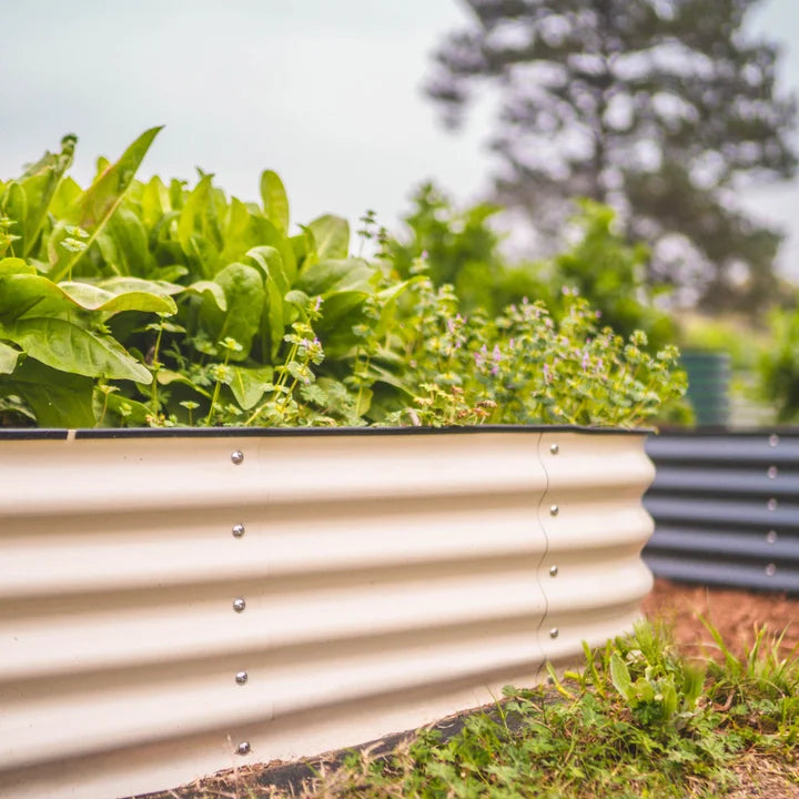 Vego Garden 14” Tall 10 in 1 Modular Metal Raised Garden Bed Kit