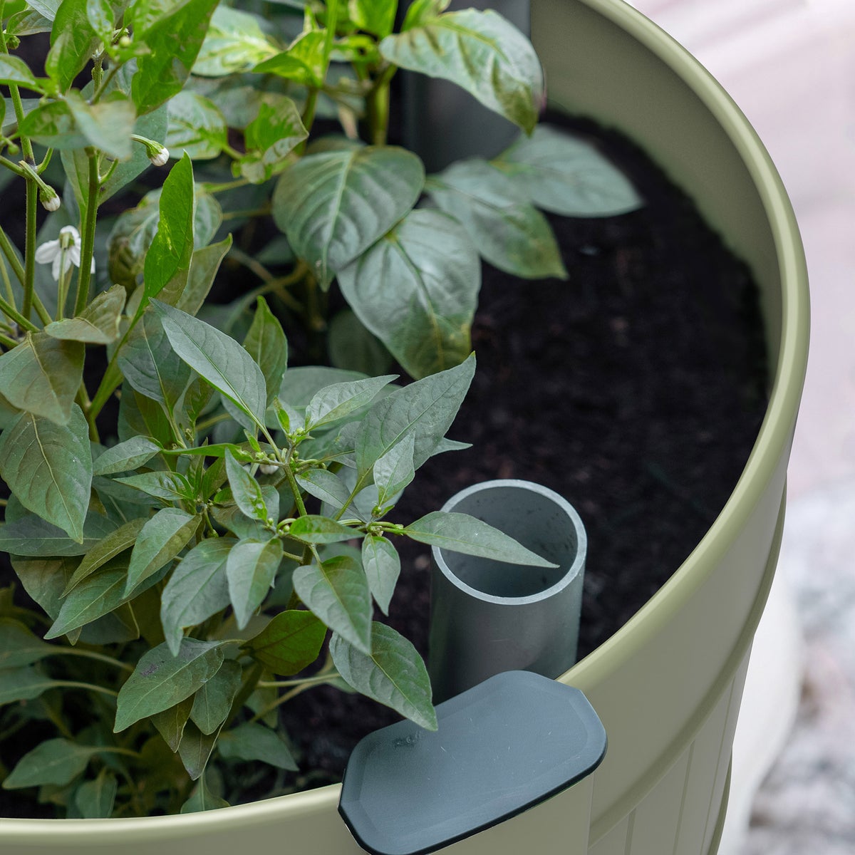 Permasteel Elevated Garden Bed With Casters