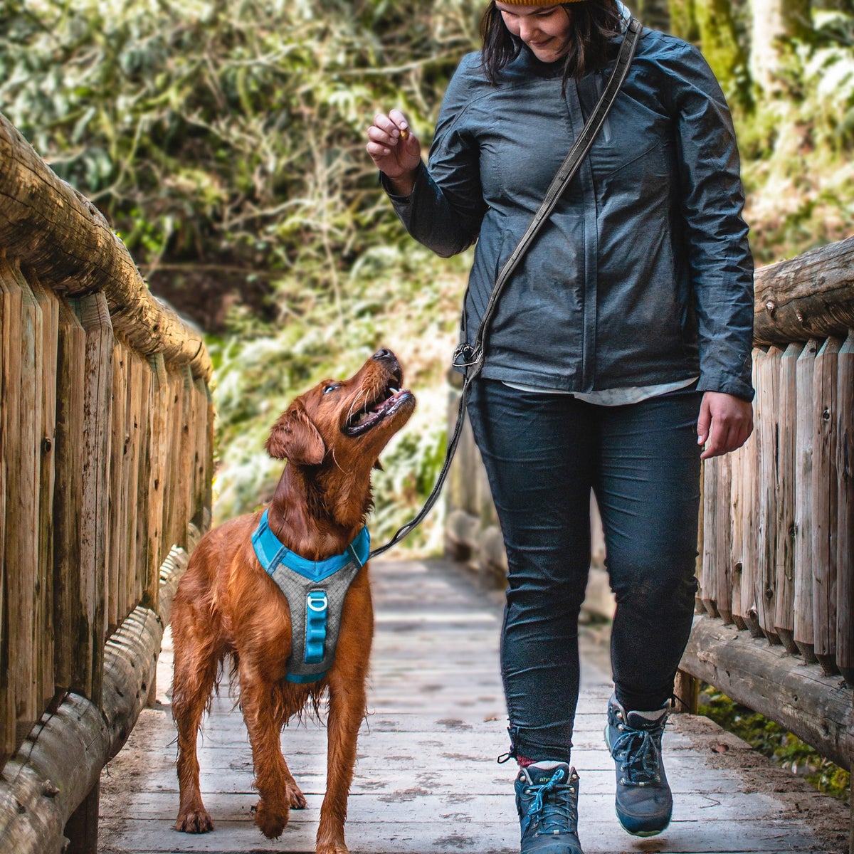 Kurgo Journey Air Harness and Quantum 6-in1 Leash Bundle, Small