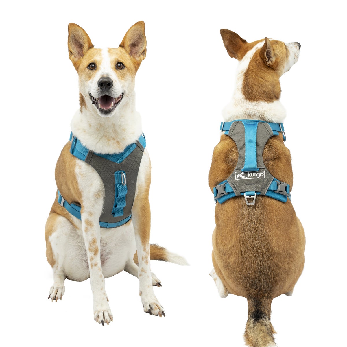 Kurgo Journey Air Harness and Quantum 6-in1 Leash Bundle, Small