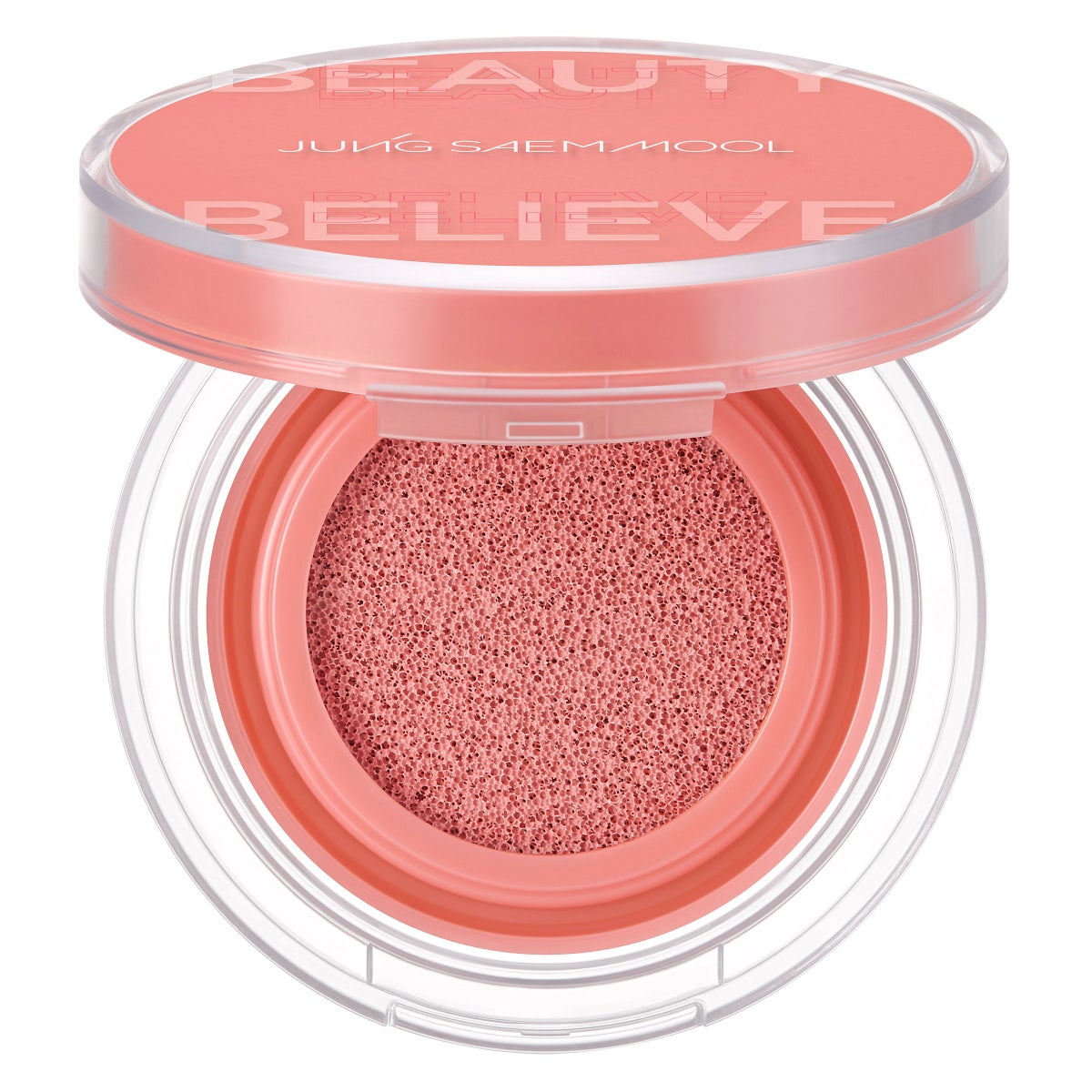 JUNGSAEMMOOL Artist Cushion Blush Special Set